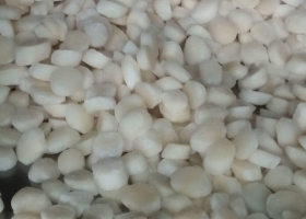Cồi sò chạy băng chuyền ghép cont xuất