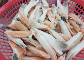 ĐÓNG VÂY CÁ HỒI GHÉP XUẤT KHẨU