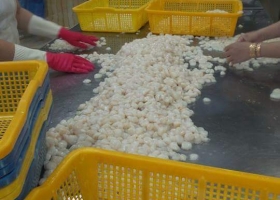 Hàng chạy ghép cont xuất 