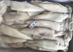 NHẬP MỰC ỐNG MINO