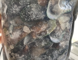 VẸM XANH NỮA MẢNH