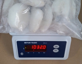 MỰC NANG BABY 10-20 CON TÚI 1KG N7