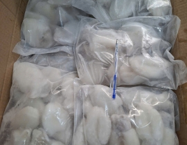 MỰC NANG BABY 10-20 CON TÚI 1KG N7
