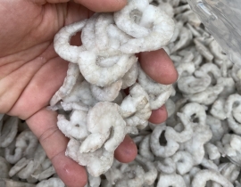 THỊT NÕN TÔM THẺ SIZE 100-200 CON/P , NET 8 - 9