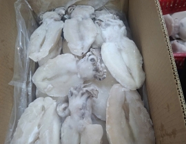 MỰC NANG LÀM SẠCH SIZE 200-500G NET 7