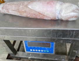 MỰC LÁ CUỘN 4A SIZE 1000UP ĐỦ KG