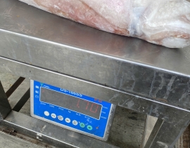 MỰC LÁ CUỘN 4A SIZE 1000UP ĐỦ KG
