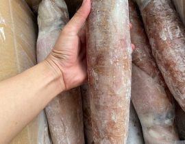 MỰC LÁ CUỘN 4A SIZE 1000UP ĐỦ KG