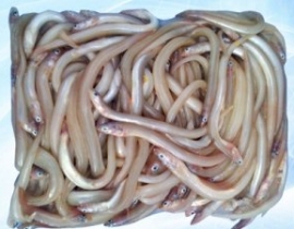 CÁ SỤN SỊN RA VỈ 500G