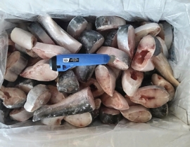 BASA CẮT KHOANH 