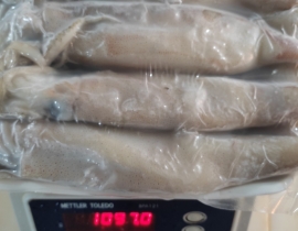 MỰC ỐNG INDO(ILEX) SIZE 200-300G RA VỈ 1 KG