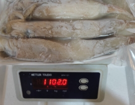 MỰC ỐNG INDO(ILEX) SIZE 200-300G RA VỈ 1 KG