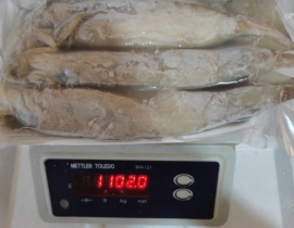 MỰC ỐNG INDO(ILEX) SIZE 200-300G RA VỈ 1 KG