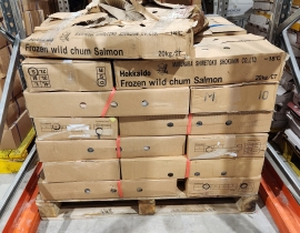Cá hồi nguyên con - Nhật chum red