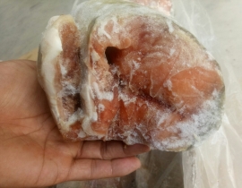 Cá hồi nguyên con - Nhật chum red
