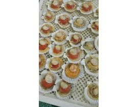SÒ ĐIỆP NŨA MẢNH - BAO TRẮNG