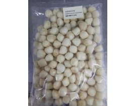 CỒI SÒ ĐIỆP NHỎ - VIỆT NAM