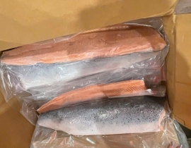 CÁ HỒI ATLANTIC FILLET  1/2 CON