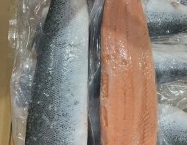 CÁ HỒI ATLANTIC FILLET  1/2 CON