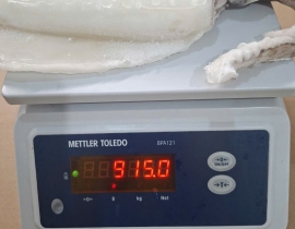 MỰC LÁ LÀM SẠCH NGUYÊN CON ĐÓNG XÔ N9 (ĐÃ BAO GỒM MẠ BĂNG)