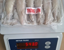 MỰC TRỨNG 15-20 CON XẾP VỈ 500G N7  