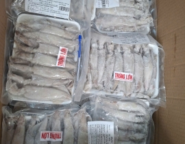 MỰC TRỨNG 15-20 CON XẾP VỈ 500G N7  