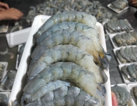 Thịt tôm thẻ loại 1