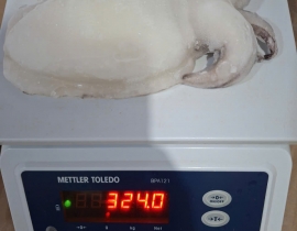 MỰC NANG LÀM SẠCH SIZE 200-500G NET 7