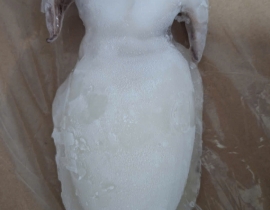 MỰC NANG LÀM SẠCH SIZE 200-500G NET 7