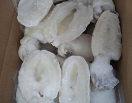 MỰC NANG LÀM SẠCH SIZE 200-500G NET 7