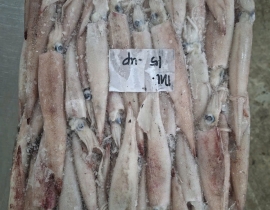 Mực trứng ghim 15 up hàng indo thùng 10 kg