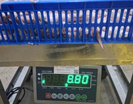 Mực trứng ghim 15 up hàng indo thùng 10 kg