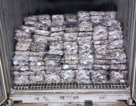 MỰC ỐNG INDO - ILEX  200-300G