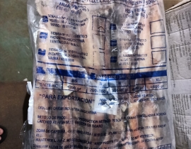 MỰC ỐNG INDO - ILEX  200-300G