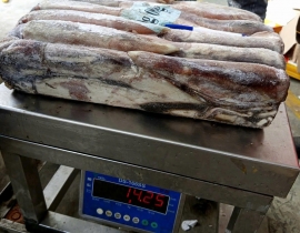 MỰC ỐNG INDO (ILEX) 300g-400g