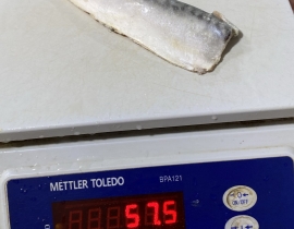 CÁ SABA NAUY FILLET ( THU NHẬT FILLET )