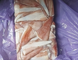 ĐUÔI MỰC CHILE XỊN NHẬP KHẨU