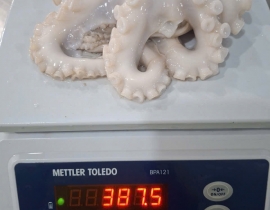BẠCH TUỘC 2 DA 200G UP TÚI 2KG 6 - 7 CON NET 7