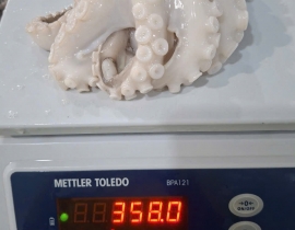 BẠCH TUỘC 2 DA 200G UP TÚI 2KG 6 - 7 CON NET 7