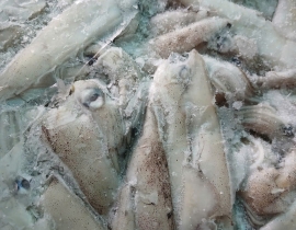 MỰC TRỨNG MỸ 8-15 THÙNG 10KG