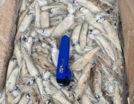 MỰC TRỨNG MỸ 8-15 THÙNG 10KG