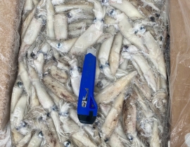 MỰC TRỨNG MỸ 8-15 THÙNG 10KG