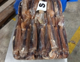 MỰC ỐNG ILEX 200-300G BAO XANH 
