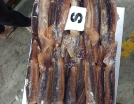 MỰC ỐNG ILEX 200-300G BAO XANH 
