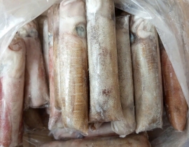 MỰC LÁ CUỘN 4A SIZE 500-1000G ĐỦ KG