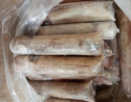 MỰC LÁ CUỘN 4A SIZE 500-1000G ĐỦ KG
