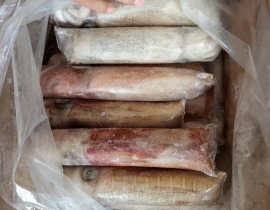 MỰC LÁ CUỘN 4A SIZE 500-1000G ĐỦ KG