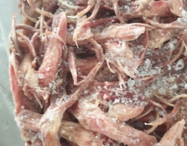LƯỠI VỊT