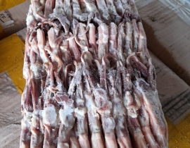 LƯỠI VỊT