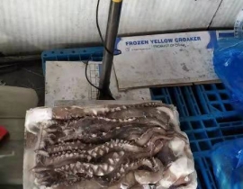 RÂU MỰC ĐẠI DƯƠNG HÀNG PERU